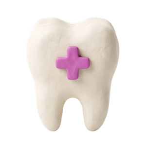  Root Canal